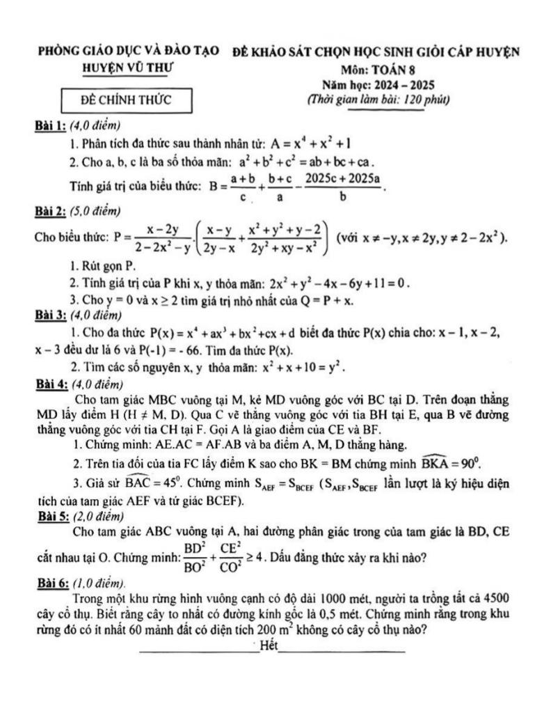 đề chọn học sinh giỏi toán 8 năm 2024 – 2025 phòng gd&đt vũ thư – thái bình