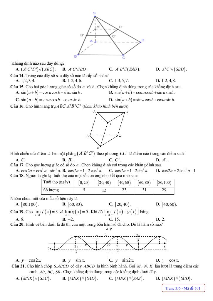 đề cuối học kỳ 1 toán 11 năm 2024 – 2025 trường thpt nguyễn trãi – quảng bình 2