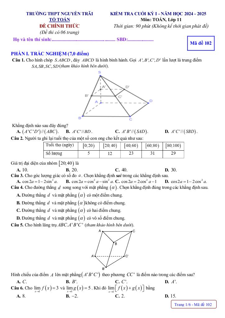 đề cuối học kỳ 1 toán 11 năm 2024 – 2025 trường thpt nguyễn trãi – quảng bình 6
