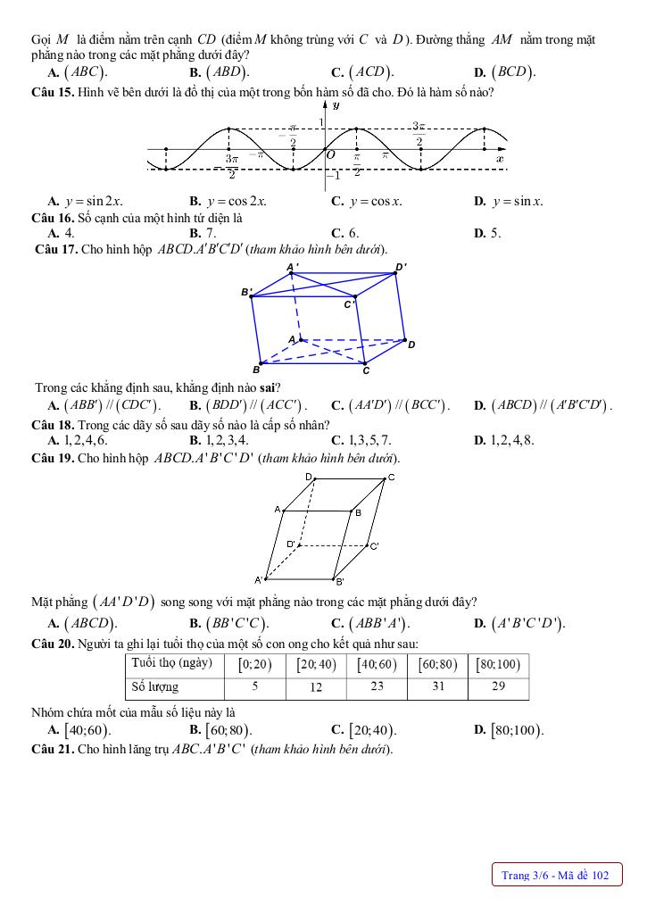 đề cuối học kỳ 1 toán 11 năm 2024 – 2025 trường thpt nguyễn trãi – quảng bình 8