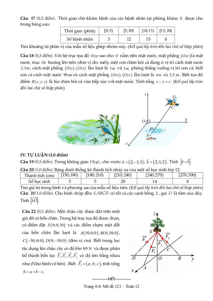 đề cuối học kỳ 1 toán 12 năm 2024 – 2025 trường thpt nguyễn trãi – quảng bình 3