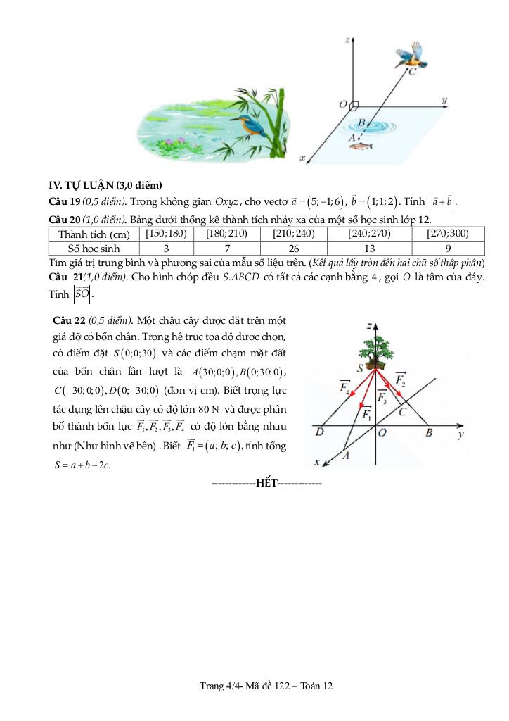 đề cuối học kỳ 1 toán 12 năm 2024 – 2025 trường thpt nguyễn trãi – quảng bình 7