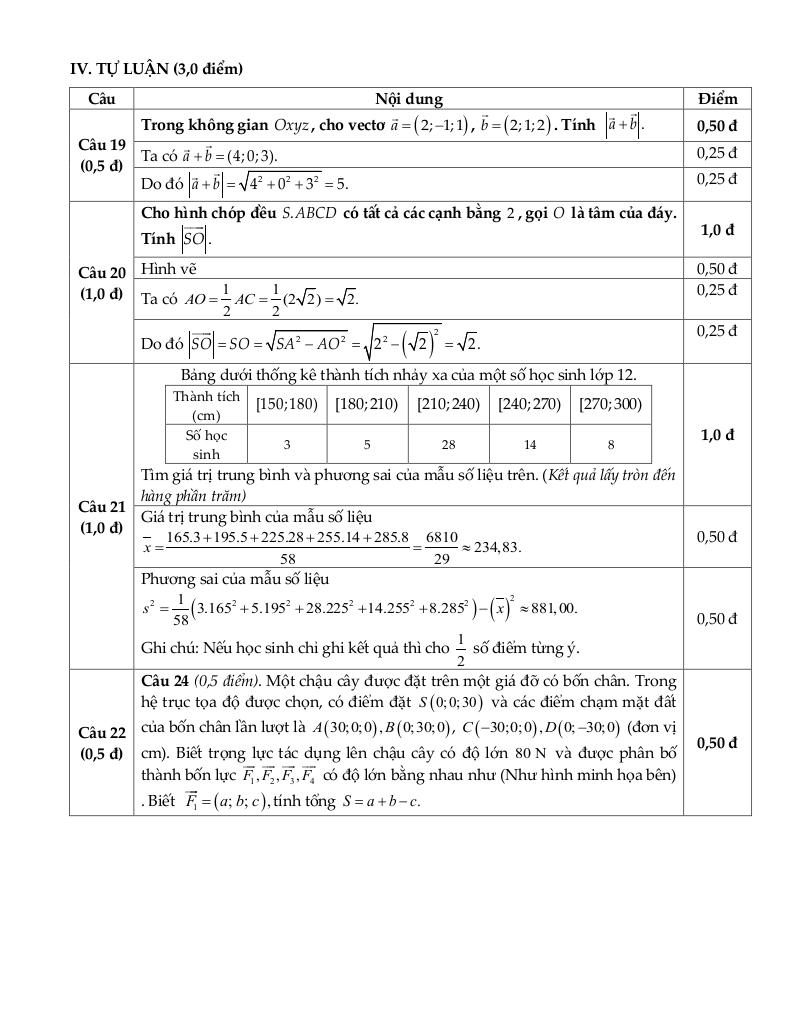 đề cuối học kỳ 1 toán 12 năm 2024 – 2025 trường thpt nguyễn trãi – quảng bình 9
