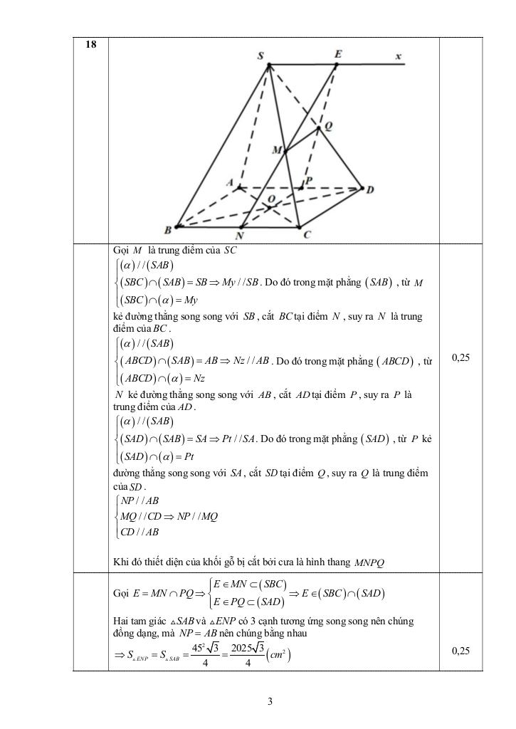 đề cuối kỳ 1 toán 11 năm 2024 – 2025 trường thpt phú lộc – tt huế 8
