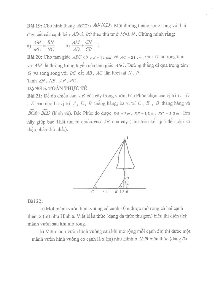 đề cương giữa học kì 1 toán 8 năm 2025 – 2026 trường thcs thọ lộc – hà nội 5