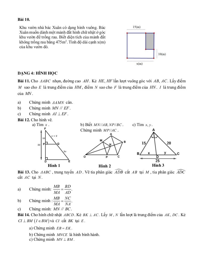 đề cương học kỳ 1 toán 8 năm 2025 – 2026 trường thcs phan chu trinh – hà nội 2