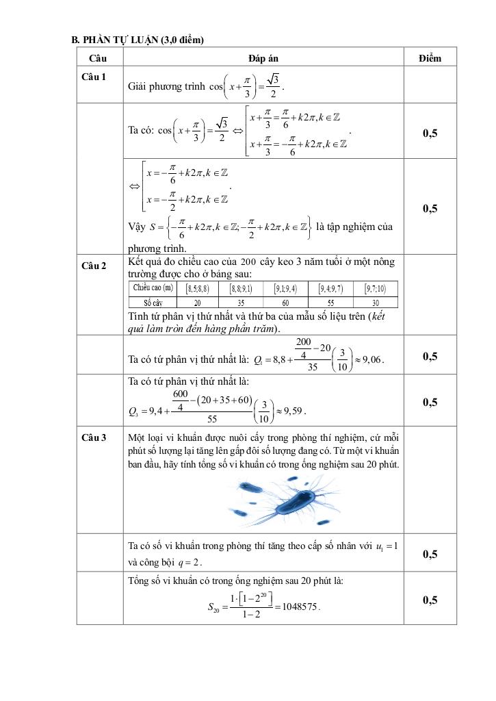 đề giữa học kì 1 toán 11 năm 2025 – 2026 trường thpt lê lợi – quảng ngãi 7