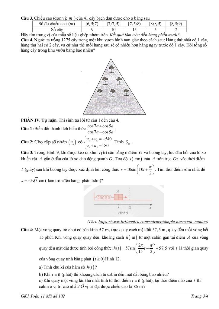 đề giữa học kì 1 toán 11 năm 2025 – 2026 trường thpt nhữ văn lan – hải phòng 6