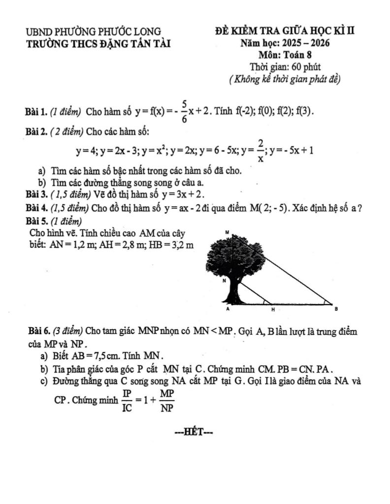 đề giữa học kì 2 toán 8 năm 2025 – 2026 trường thcs đặng tấn tài – tp hcm