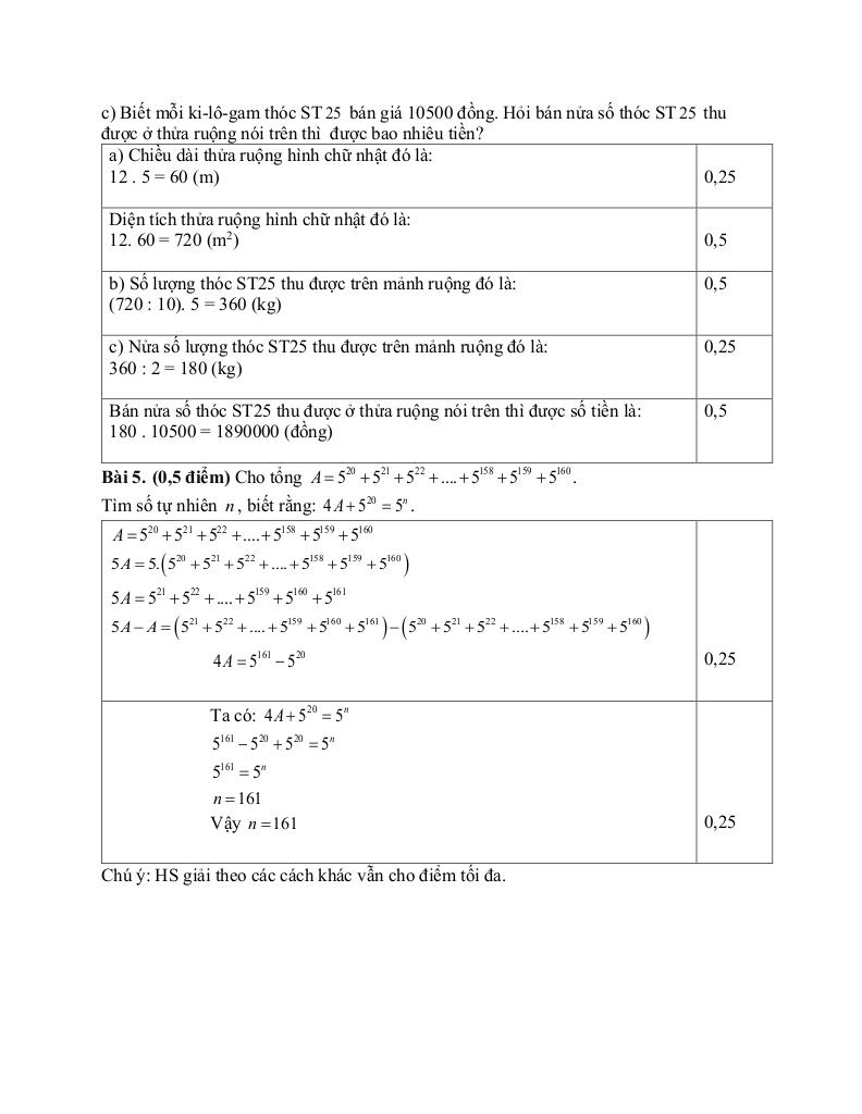 đề giữa học kỳ 1 toán 6 năm 2025 – 2026 trường thcs tống văn trân – ninh bình 4