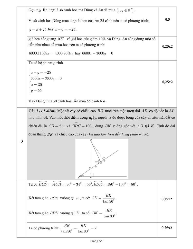 đề giữa học kỳ 1 toán 9 năm 2024 – 2025 trường thực hành sài gòn – tp hcm 4