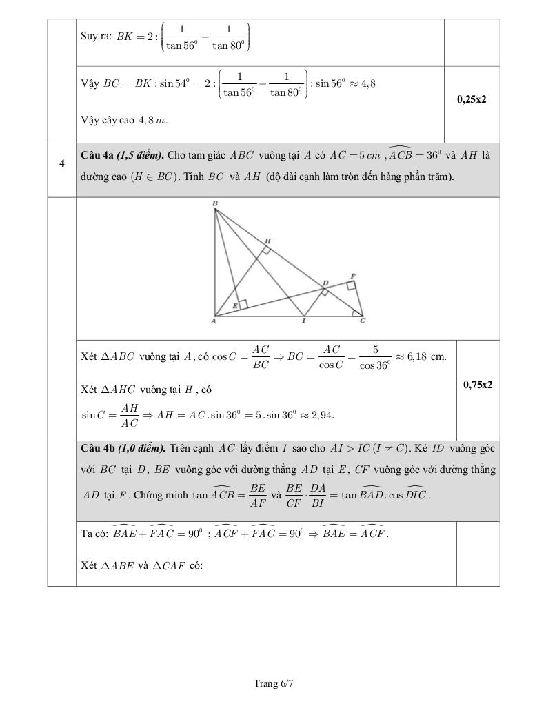 đề giữa học kỳ 1 toán 9 năm 2024 – 2025 trường thực hành sài gòn – tp hcm 5