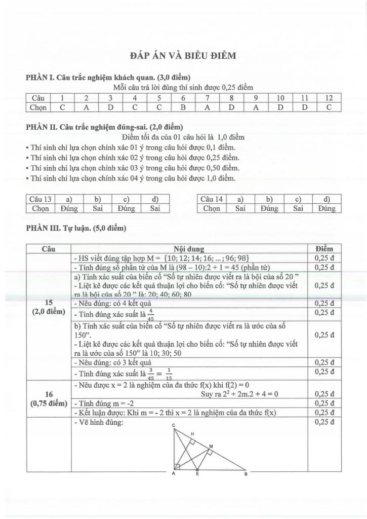 đề giữa kì 2 toán 7 năm 2024 – 2025 trường thcs chu văn an – bình dương 7