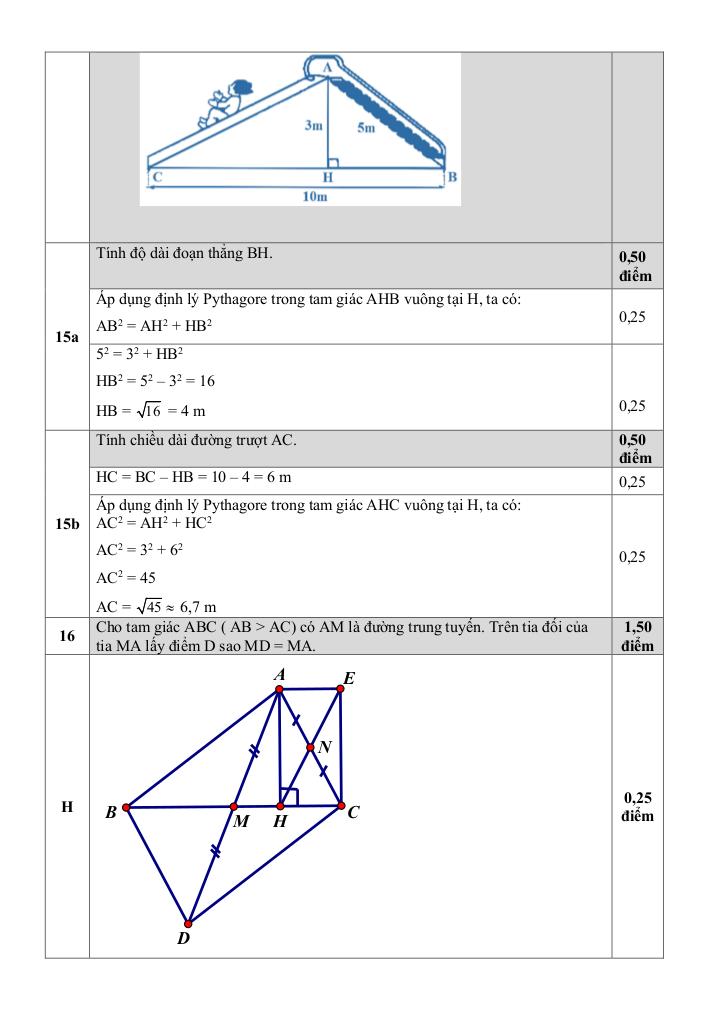 đề giữa kỳ 1 toán 8 năm 2024 – 2025 trường thcs đinh tiên hoàng – khánh hòa 7