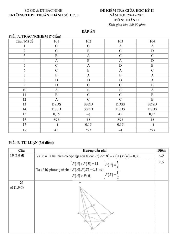 đề giữa kỳ 2 toán 11 năm 2024 – 2025 trường thpt thuận thành 1-2-3 – bắc ninh 4