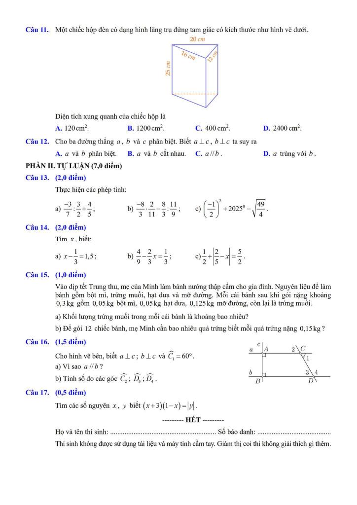 đề khảo sát toán 7 tháng 11 năm 2025 trường th&thcs lâm thao – bắc ninh 1