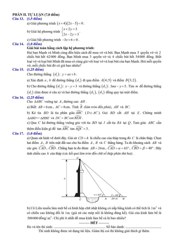 đề khảo sát toán 9 tháng 11 năm 2025 trường th&thcs lâm thao – bắc ninh 1