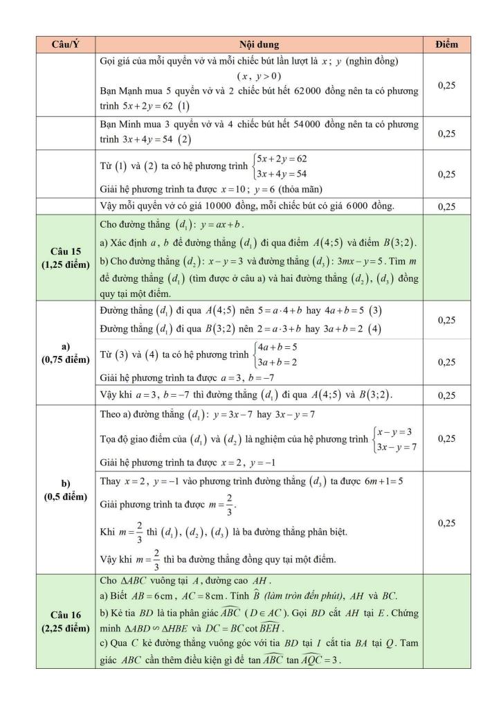 đề khảo sát toán 9 tháng 11 năm 2025 trường th&thcs lâm thao – bắc ninh 3