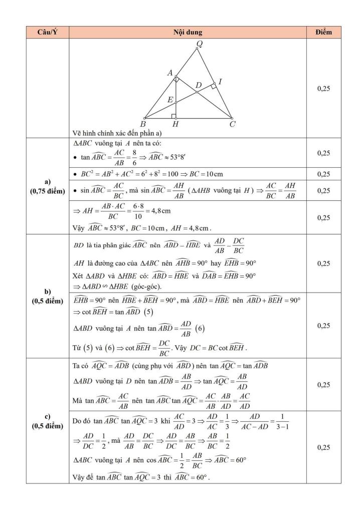 đề khảo sát toán 9 tháng 11 năm 2025 trường th&thcs lâm thao – bắc ninh 4