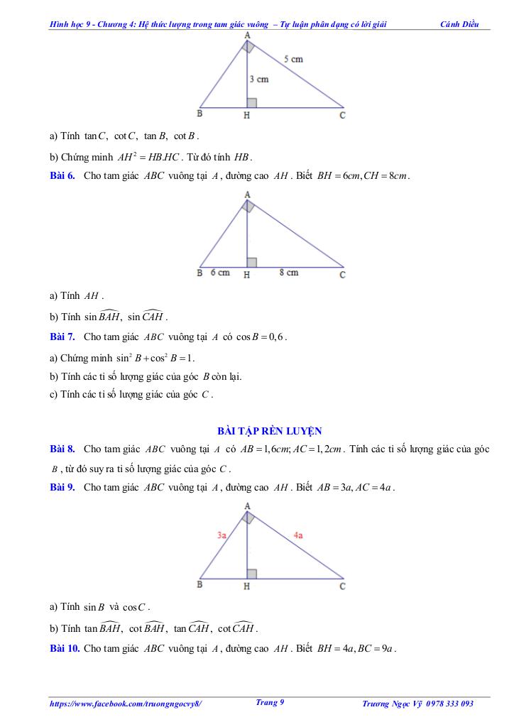 tự luận và trắc nghiệm hệ thức lượng trong tam giác vuông toán 9 cánh diều 8