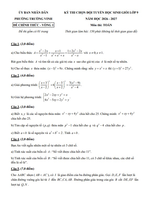 PDF Preview