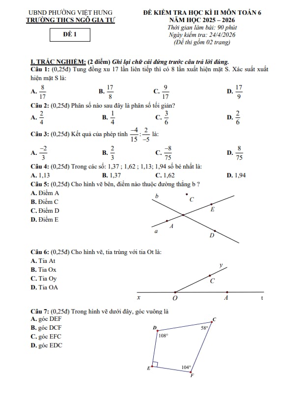 PDF Preview