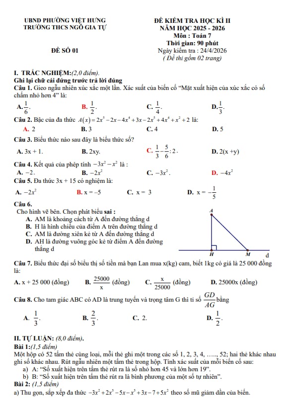 PDF Preview