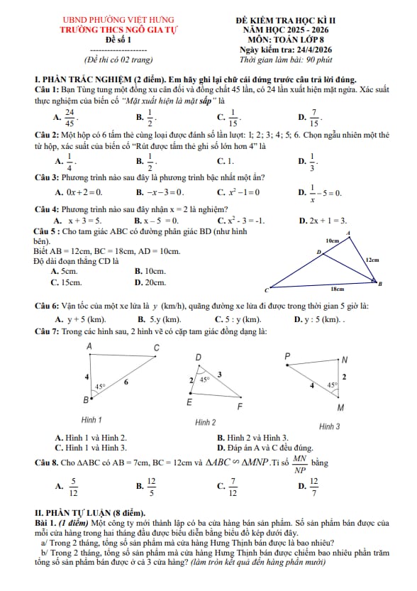 PDF Preview