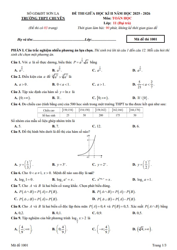 PDF Preview