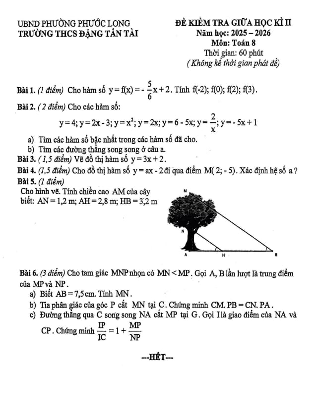 đề giữa học kì 2 toán 8 năm 2025 – 2026 trường thcs đặng tấn tài – tp hcm