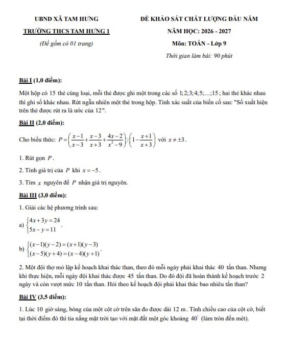 PDF Preview