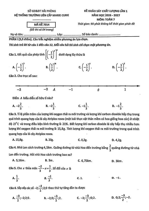PDF Preview