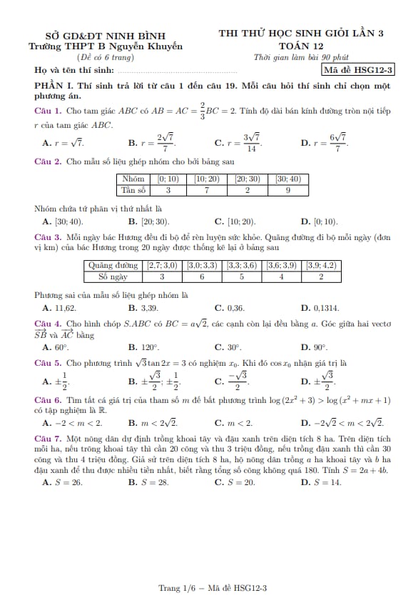 PDF Preview